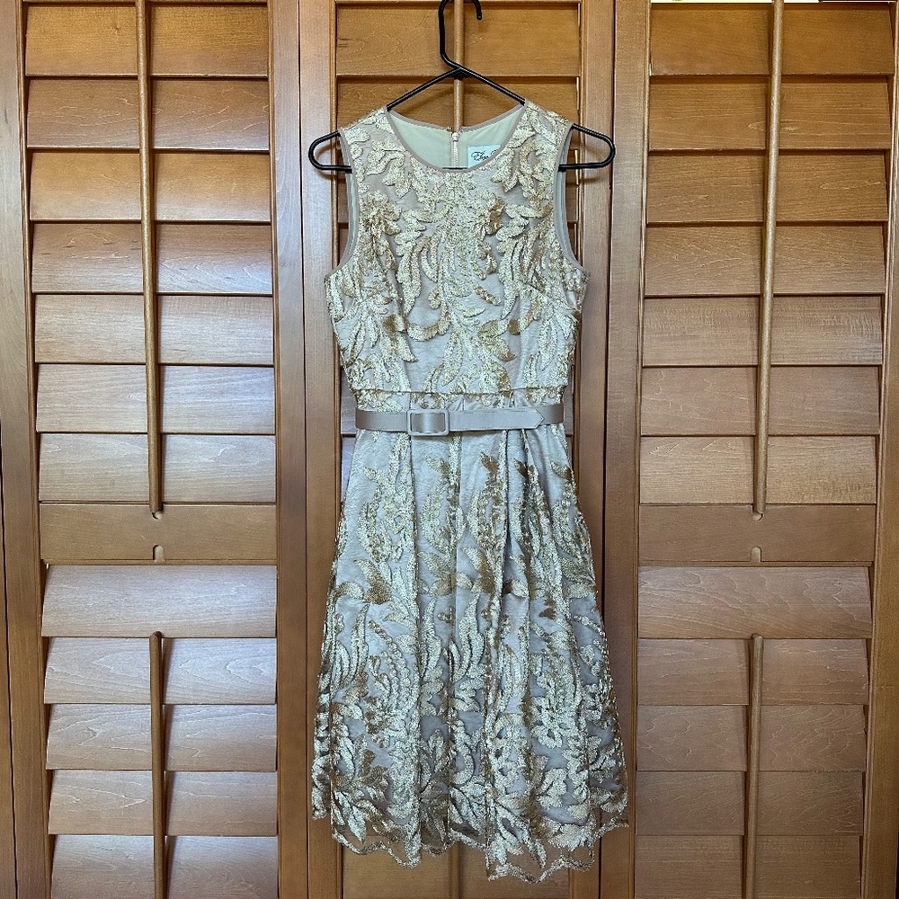 Dress: Eliza J